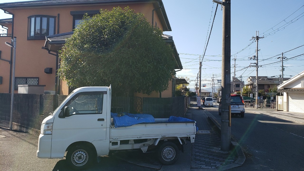 奈良市古市町の大きな木を伐採